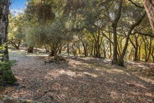 Single Family Residence,  Bennett Valley road, Santa Rosa, CA 95404 - 41