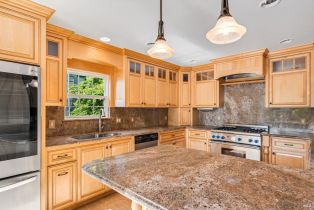 Single Family Residence, D street, Petaluma, CA 94952 - 12