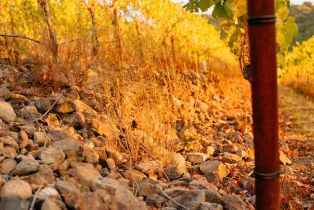 Single Family Residence,  Sonoma Mountain road, Santa Rosa, CA 95404 - 57