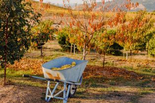 Single Family Residence,  Sonoma Mountain road, Santa Rosa, CA 95404 - 60