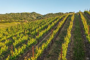 Single Family Residence,  Sonoma Mountain road, Santa Rosa, CA 95404 - 47