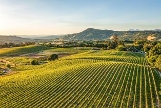 Single Family Residence,  Sonoma Mountain road, Santa Rosa, CA 95404 - 3