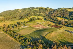 Single Family Residence,  Sonoma Mountain road, Santa Rosa, CA 95404 - 49