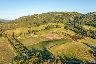 Single Family Residence,  Sonoma Mountain road, Santa Rosa, CA 95404 - 50