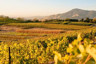 Single Family Residence,  Sonoma Mountain road, Santa Rosa, CA 95404 - 55