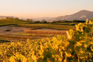 Single Family Residence,  Sonoma Mountain road, Santa Rosa, CA 95404 - 59