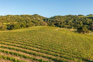 Single Family Residence,  Sonoma Mountain road, Santa Rosa, CA 95404 - 46