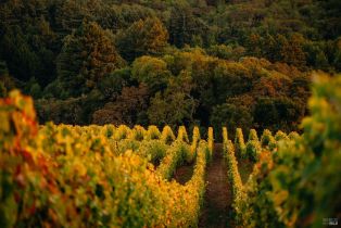 Single Family Residence,  Sonoma Mountain road, Santa Rosa, CA 95404 - 61