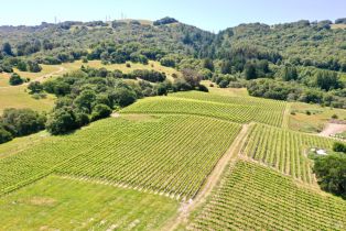 Single Family Residence,  Sonoma Mountain road, Santa Rosa, CA 95404 - 68