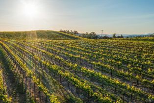 Single Family Residence,  Sonoma Mountain road, Santa Rosa, CA 95404 - 52