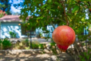 Single Family Residence, Browns Valley road, Napa, CA 94558 - 30
