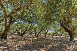 Single Family Residence,  Warrington road, Santa Rosa, CA 95404 - 26