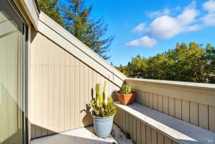 Condominium,  Mission boulevard, Santa Rosa, CA 95409 - 29