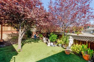 Single Family Residence,  Laurel court, Cloverdale, CA 95425 - 25