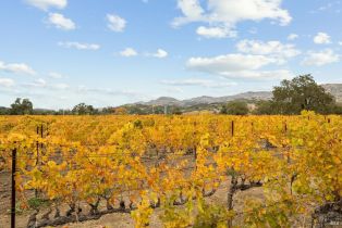 Single Family Residence,  Silverado trail, Napa, CA 94558 - 43