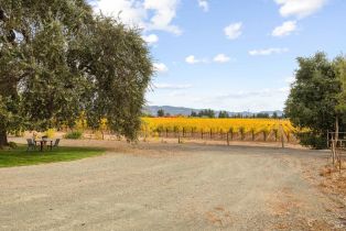 Single Family Residence,  Silverado trail, Napa, CA 94558 - 35