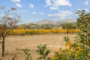 Single Family Residence,  Silverado trail, Napa, CA 94558 - 39