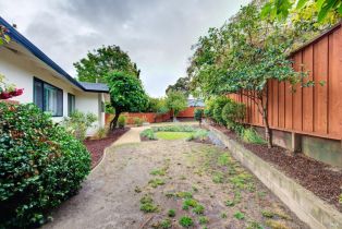 Single Family Residence, Norton street, Napa, CA 94558 - 35