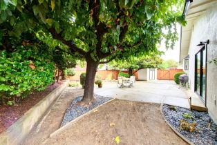 Single Family Residence, Norton street, Napa, CA 94558 - 36