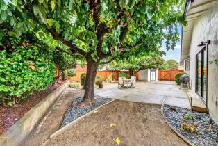 Single Family Residence,  Norton street, Napa, CA 94558 - 34