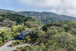 Single Family Residence,  7th street, Sonoma, CA 95476 - 65