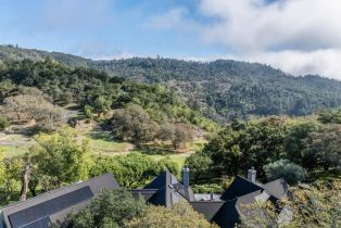 Single Family Residence,  7th street, Sonoma, CA 95476 - 72