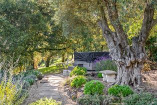 Single Family Residence,  7th street, Sonoma, CA 95476 - 54