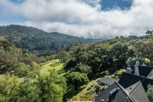 Single Family Residence,  7th street, Sonoma, CA 95476 - 73