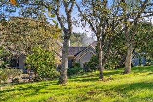 Single Family Residence,  7th street, Sonoma, CA 95476 - 68