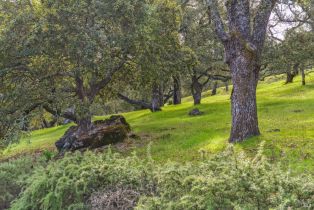 Single Family Residence,  7th street, Sonoma, CA 95476 - 59