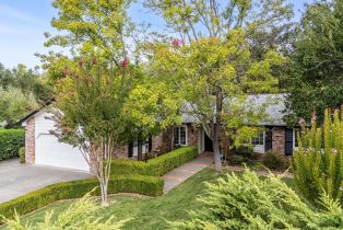 Single Family Residence,  Don Timoteo court, Sonoma, CA 95476 - 3