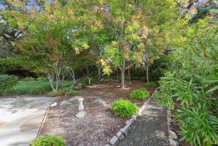 Single Family Residence,  Don Timoteo court, Sonoma, CA 95476 - 30