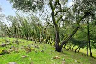 Residential Lot,  Old Bennett Ridge road, Santa Rosa, CA 95404 - 12