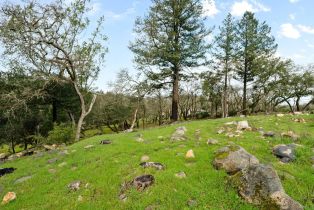 Residential Lot,  Old Bennett Ridge road, Santa Rosa, CA 95404 - 17