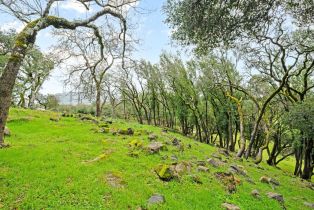 Residential Lot,  Old Bennett Ridge road, Santa Rosa, CA 95404 - 13