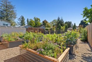 Single Family Residence,  Brown street, Healdsburg, CA 95448 - 40