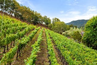 Single Family Residence,  Warm Springs road, Glen Ellen, CA 95442 - 46