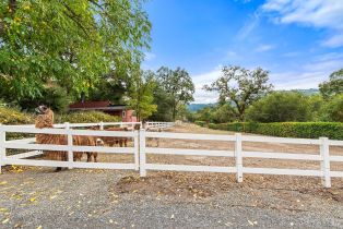 Single Family Residence,  Warm Springs road, Glen Ellen, CA 95442 - 63