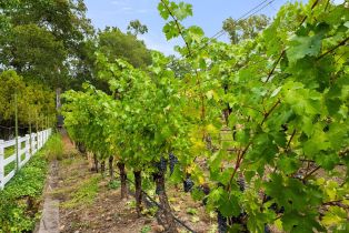 Single Family Residence,  Warm Springs road, Glen Ellen, CA 95442 - 47