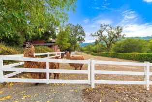 Single Family Residence,  Warm Springs road, Glen Ellen, CA 95442 - 62