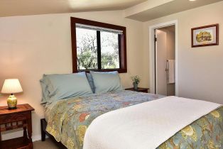 Single Family Residence,  Warm Springs road, Glen Ellen, CA 95442 - 57