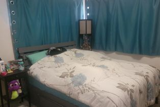 Single Family Residence,  Temple avenue, Santa Rosa, CA 95404 - 19