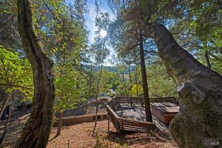 Single Family Residence, Dry Creek road, Healdsburg, CA 95448 - 30