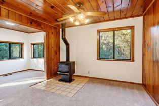 Single Family Residence,  Trenton road, Russian River, CA 95436 - 8