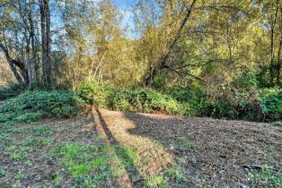 Single Family Residence,  Trenton road, Russian River, CA 95436 - 32