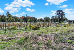 Residential Acreage,  Bravo Toro lane, Santa Rosa, CA 95401 - 20