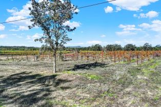 Residential Acreage,  Bravo Toro lane, Santa Rosa, CA 95401 - 24