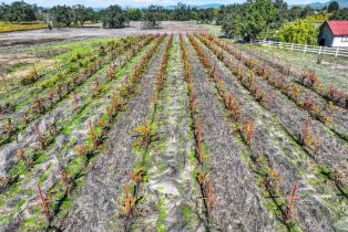 Residential Acreage,  Bravo Toro lane, Santa Rosa, CA 95401 - 15