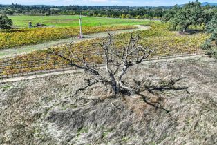 Residential Acreage,  Bravo Toro lane, Santa Rosa, CA 95401 - 7