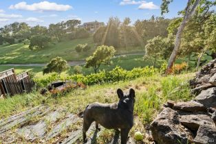 Single Family Residence,  Lakebriar place, Santa Rosa, CA 95403 - 53